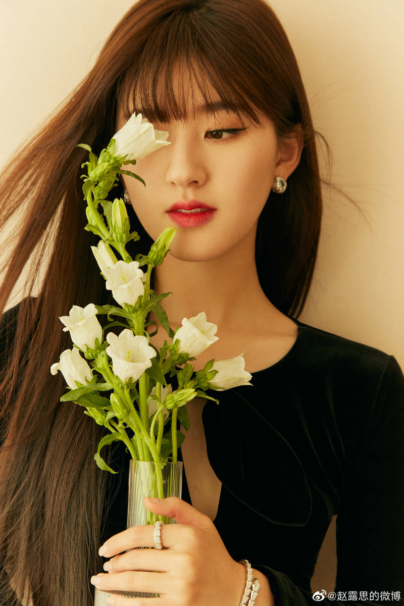 袁姗姗现在是谁的艺人