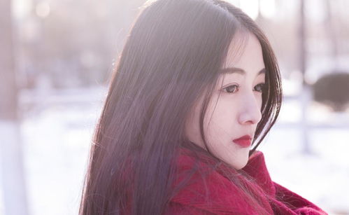 李金铭个人资料及简历