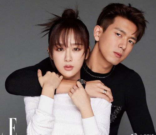 吴奇隆谈蔡少芬的关系